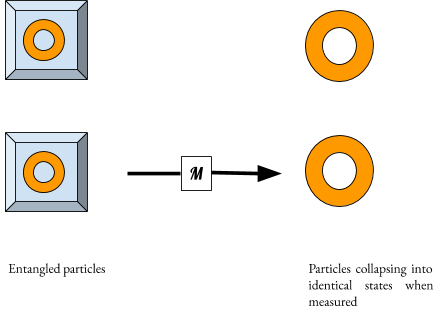 Diagram showing two entagled particles in superposition, then the particles collapsinginto a single, identical state when measured. The measurement here shows a different identical state the the previous figure, demonstrating that two seemingly-identical pairs of entangle particles can collapse into different identical states.